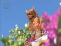 しあわせの花　石原詢子