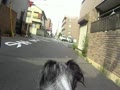 なるるライド